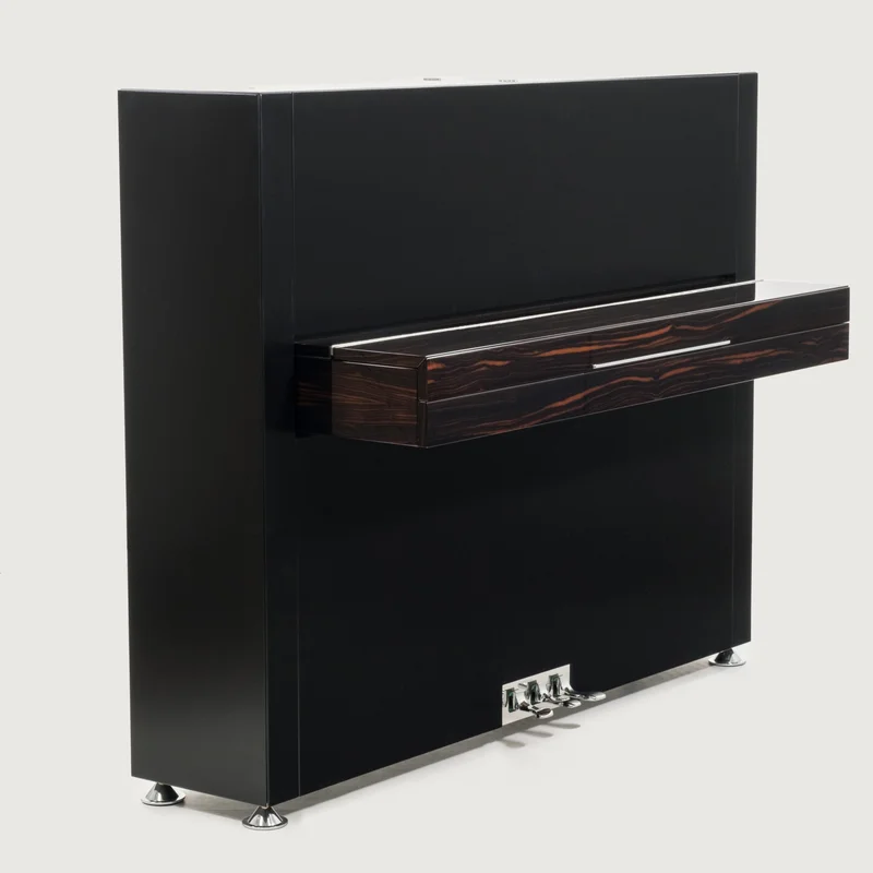 Sauter Pure Basic (Black Matte & Walnut)