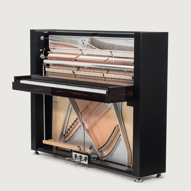 Sauter Pure Basic (Black Matte & Walnut)