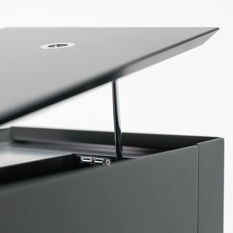 Sauter Pure Basic (Black Matte & Walnut)