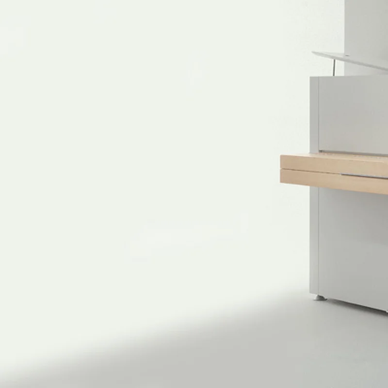 Sauter Pure Basic (Matte White & Satin Maple)