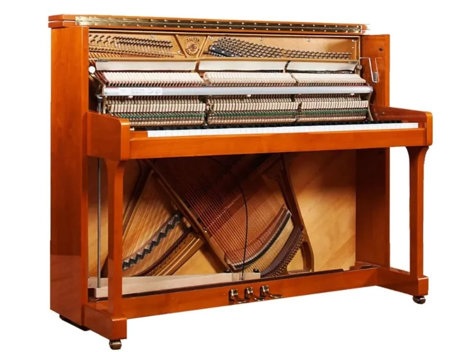 Sauter Ragazza 122 (Cherry & Yew Wood)