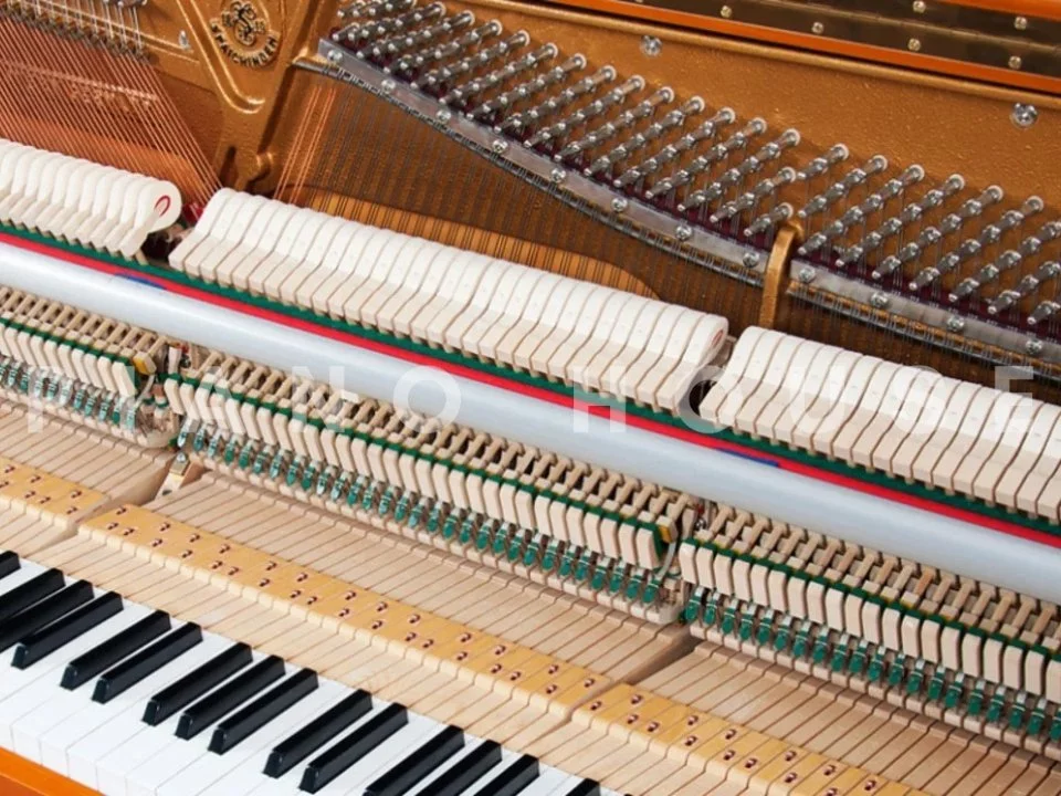 Sauter Ragazza 122 (Cherry & Yew Wood)