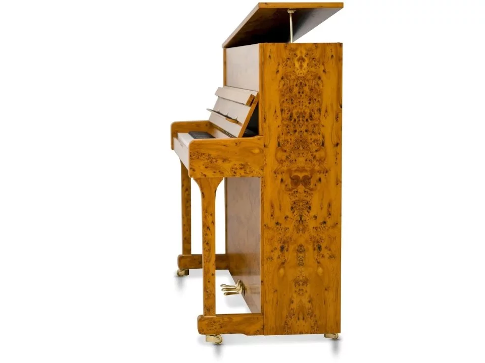 Sauter Ragazza 122 (Polished Bright Yew)