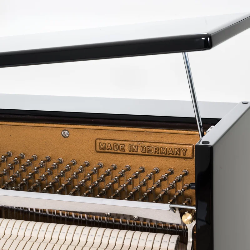 Sauter Ragazza 122 (Polished Ebony)