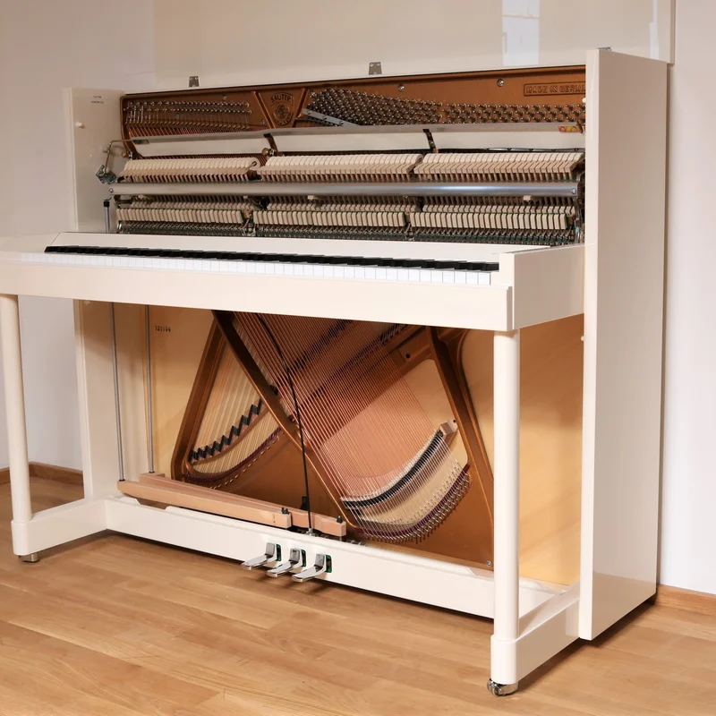 Sauter Vision 116 (Walnut Burl)