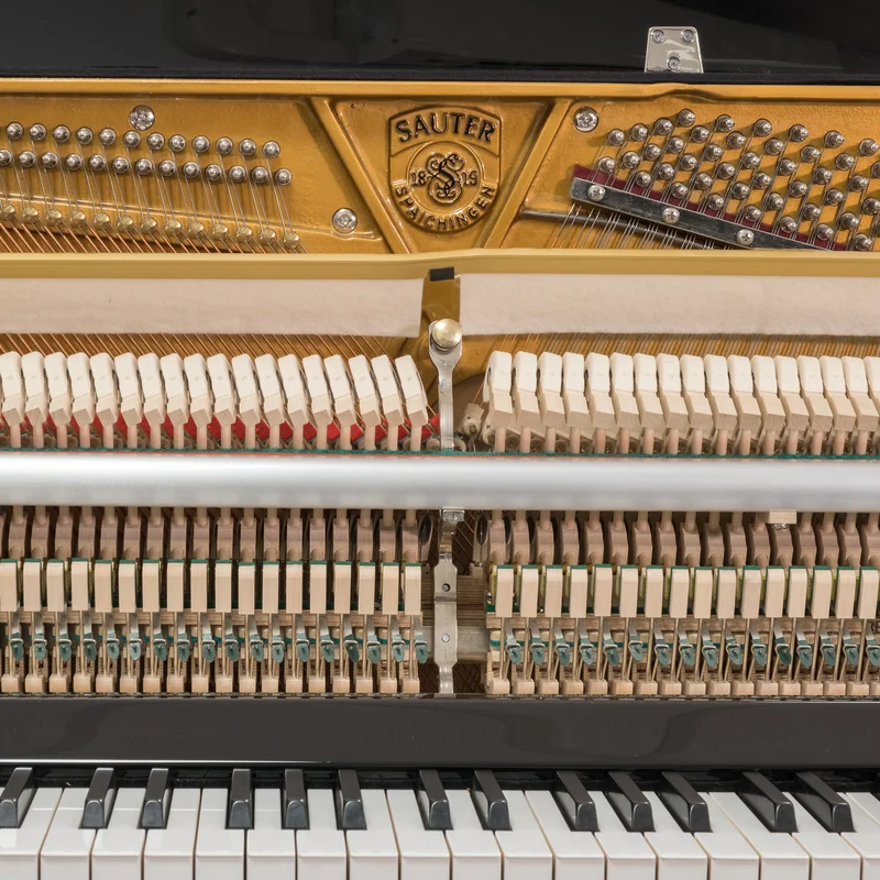 Sauter Vision 116 (White Polished)