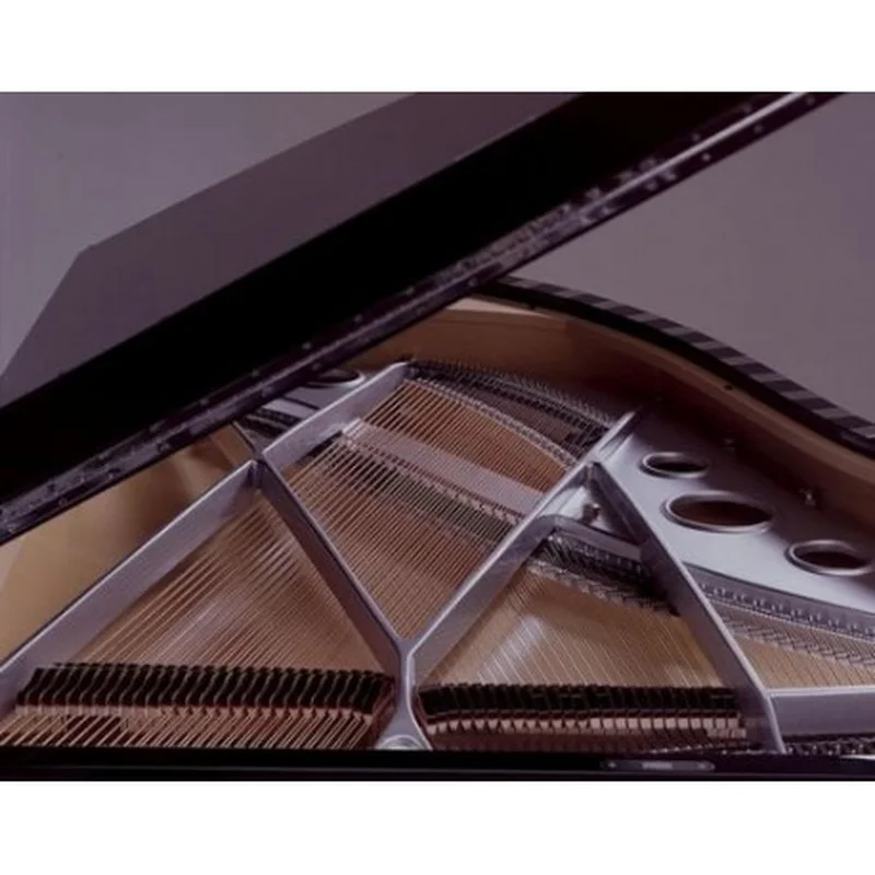 Sauter Vivace 210 (Black Polished)