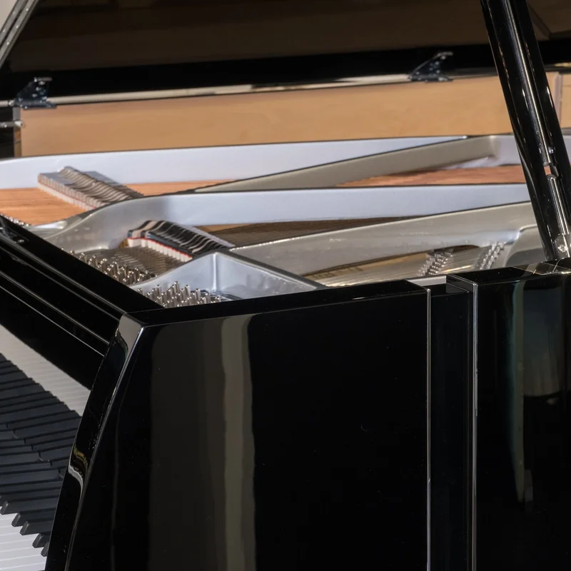 Sauter Vivace 210 (Maple)