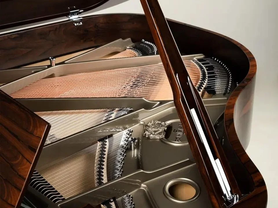 Schimmel Classic C169 Ziricote