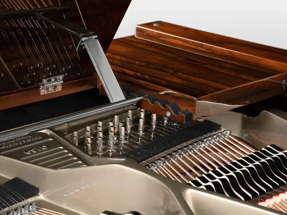 Schimmel Classic C169 Ziricote