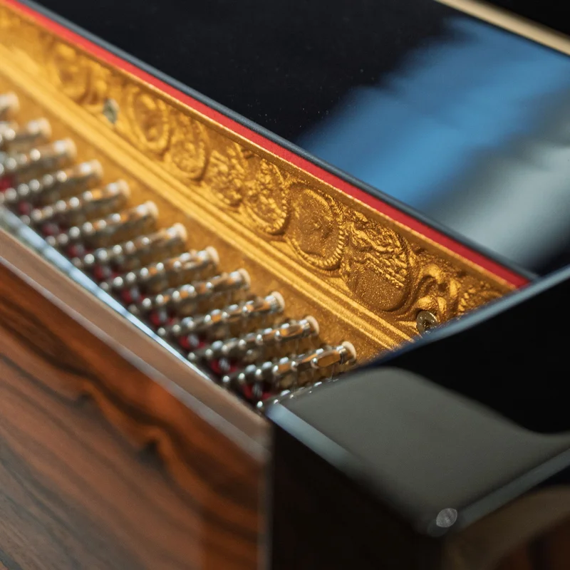 SE-126 ATTRACTION ZIRICOTE WOOD & POLISH EBONY