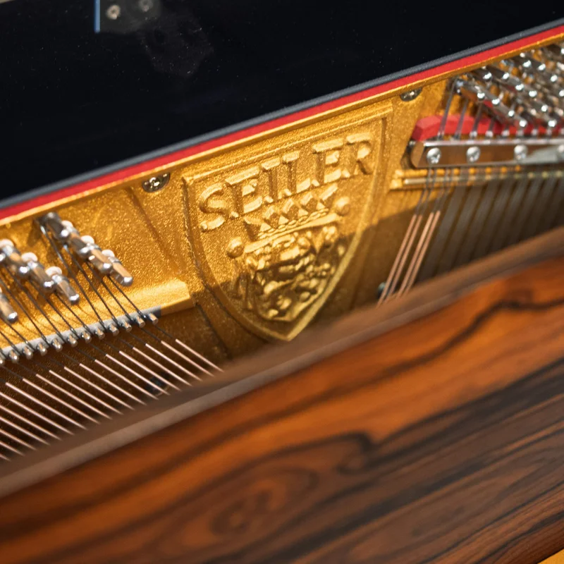 SE-126 ATTRACTION ZIRICOTE WOOD & POLISH EBONY