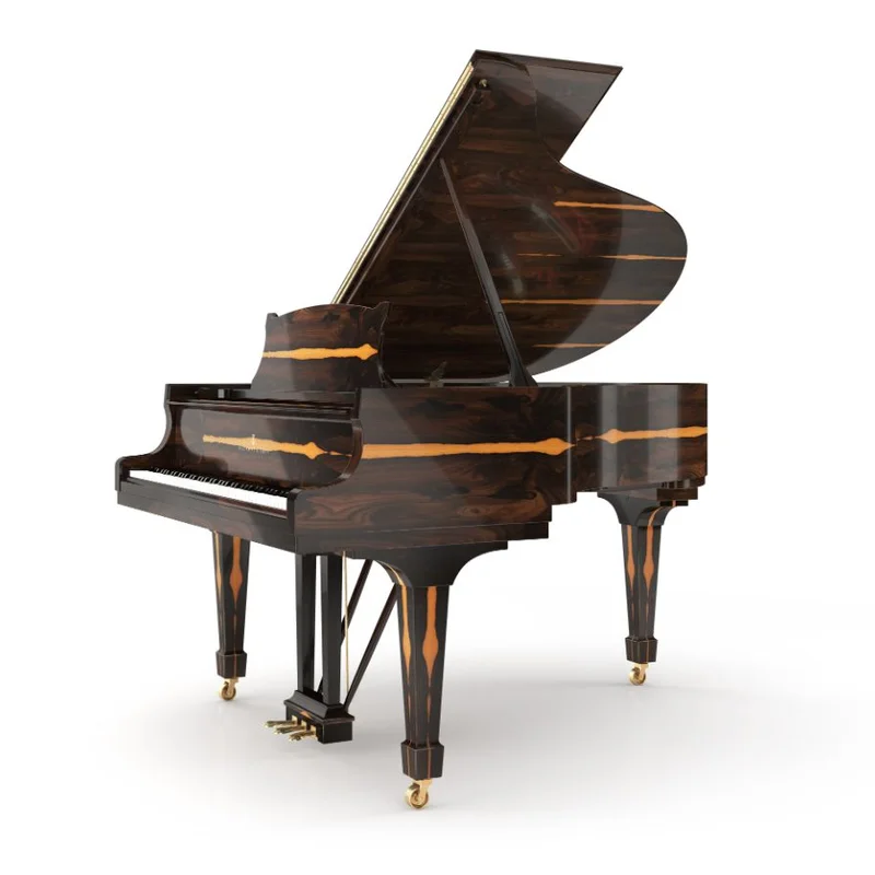 SE-126 ATTRACTION ZIRICOTE WOOD & POLISH EBONY