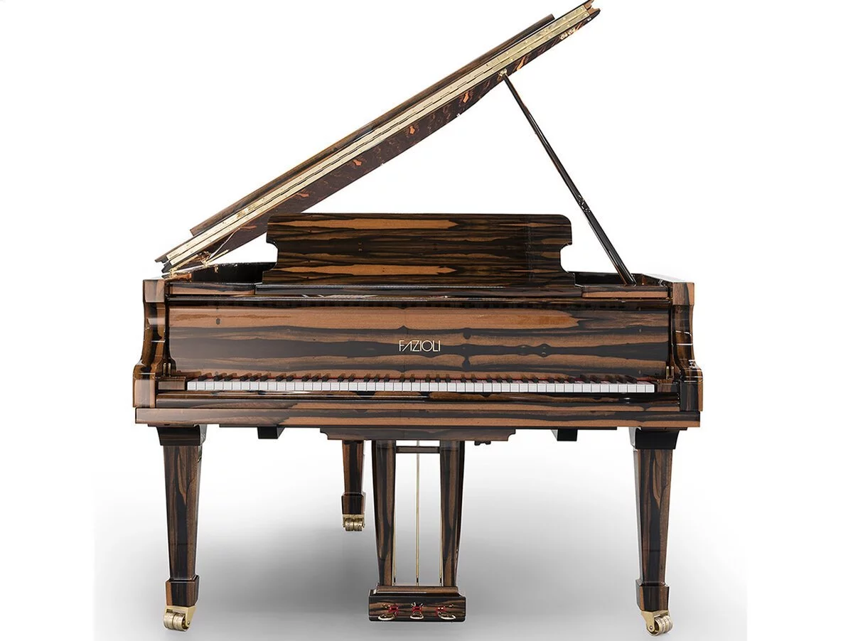 [SPECIAL] FAZIOLI EBONY BLACK & WHITE