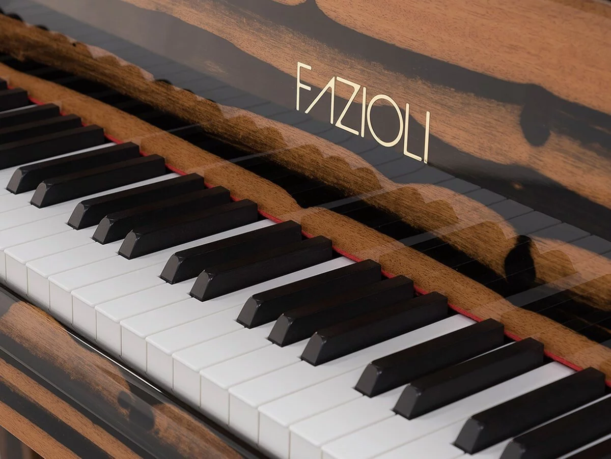 [SPECIAL] FAZIOLI EBONY BLACK & WHITE