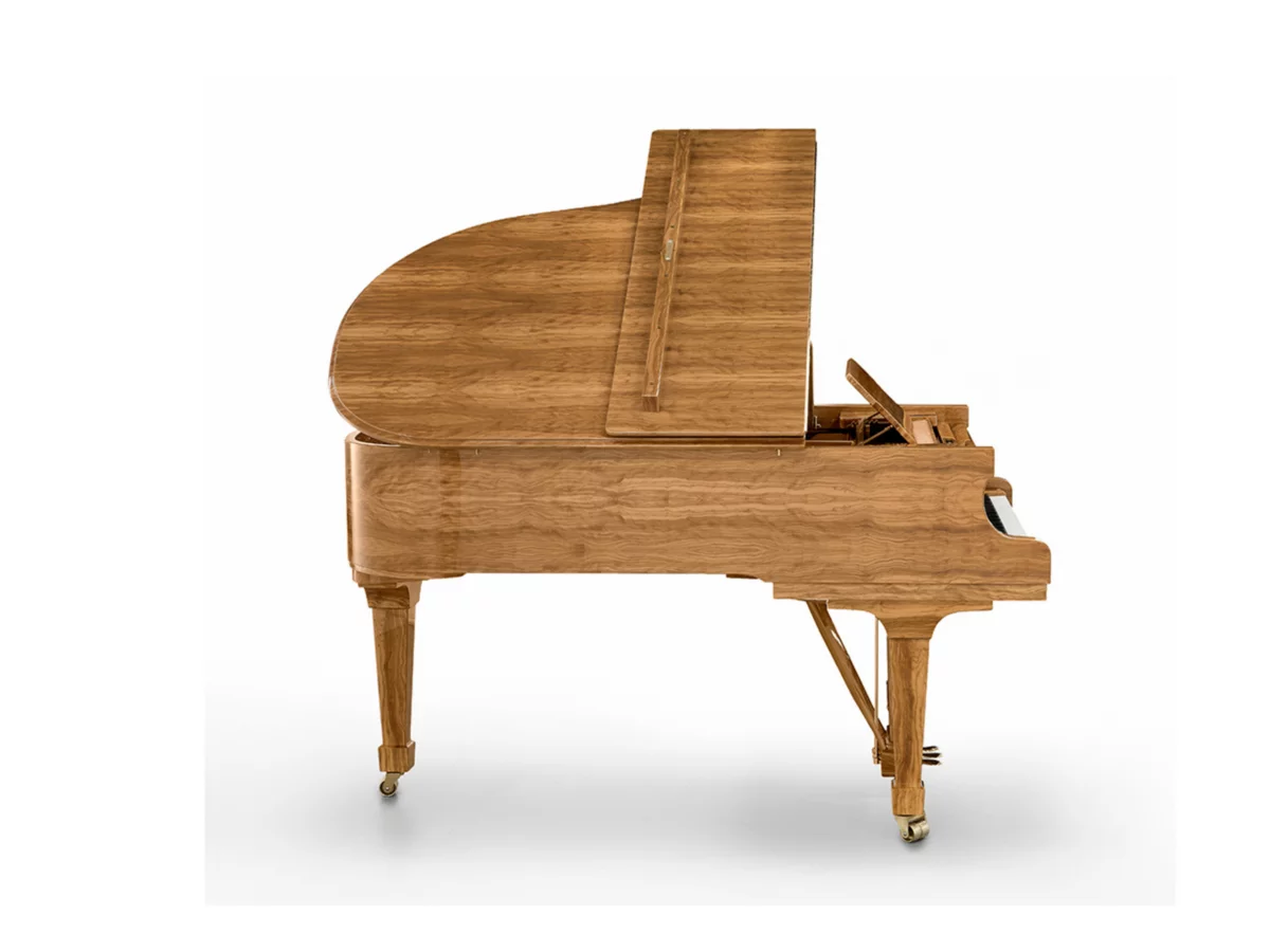 [SPECIAL] FAZIOLI OLIVE