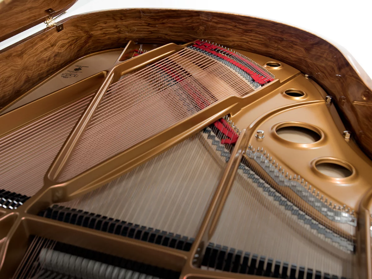 [SPECIAL] FAZIOLI OLIVE