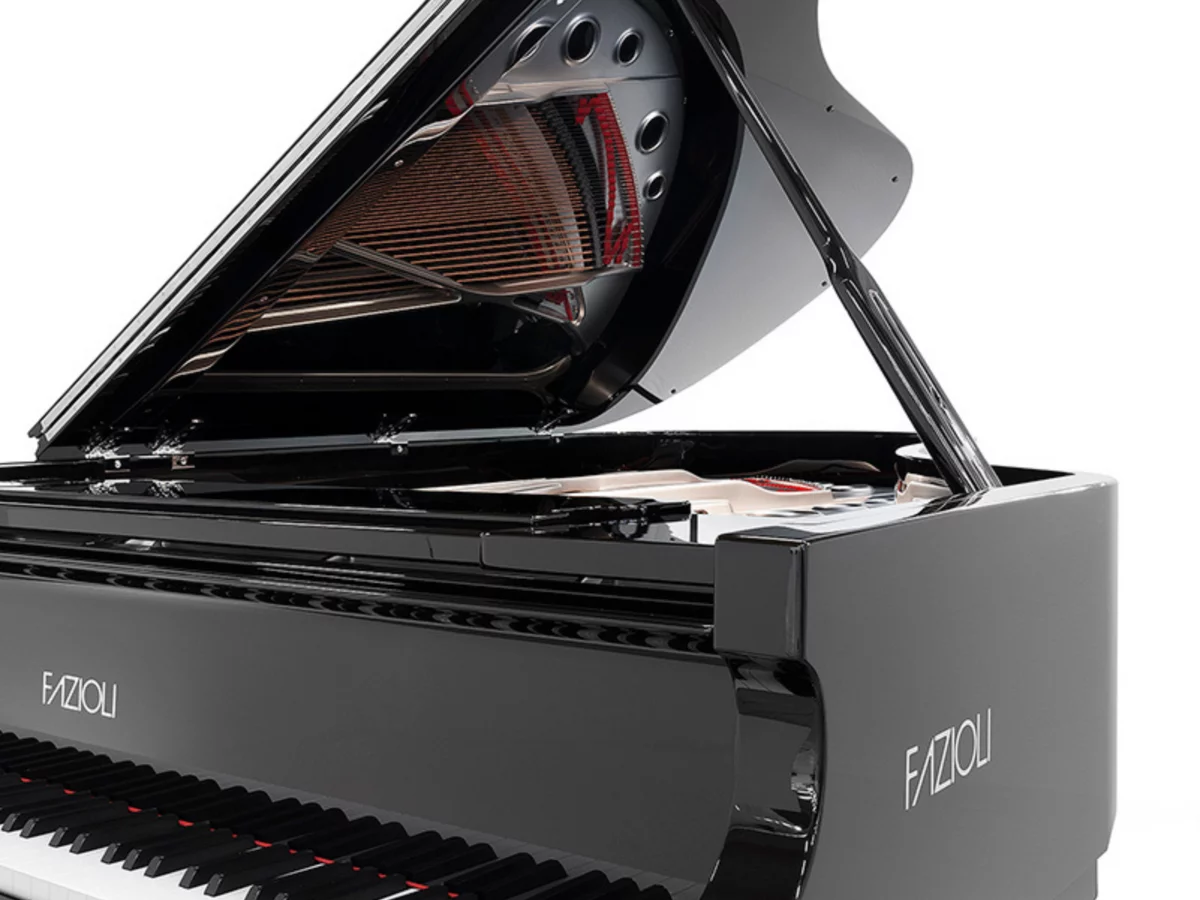 [SPECIAL] FAZIOLI SILVER