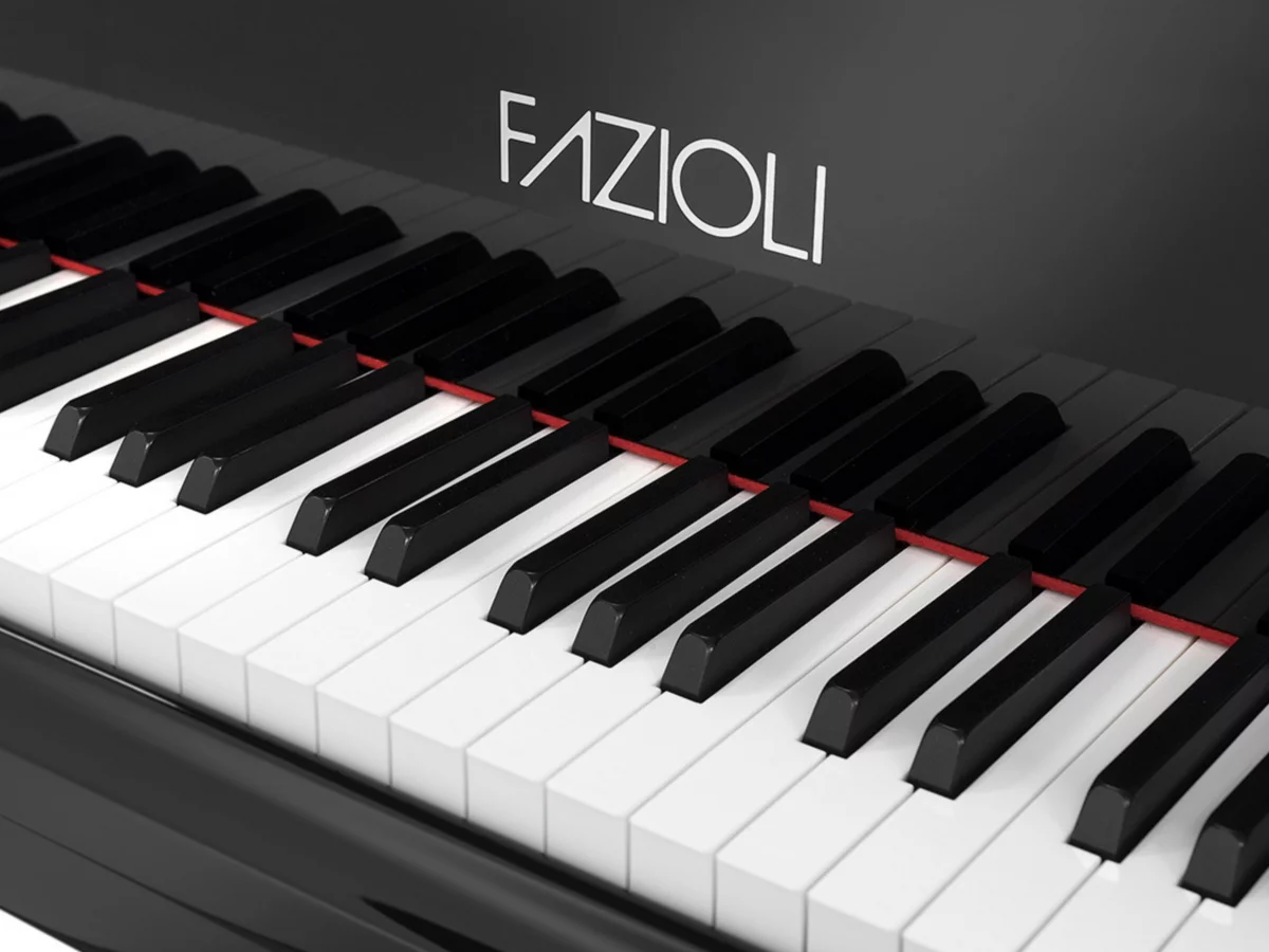 [SPECIAL] FAZIOLI SILVER