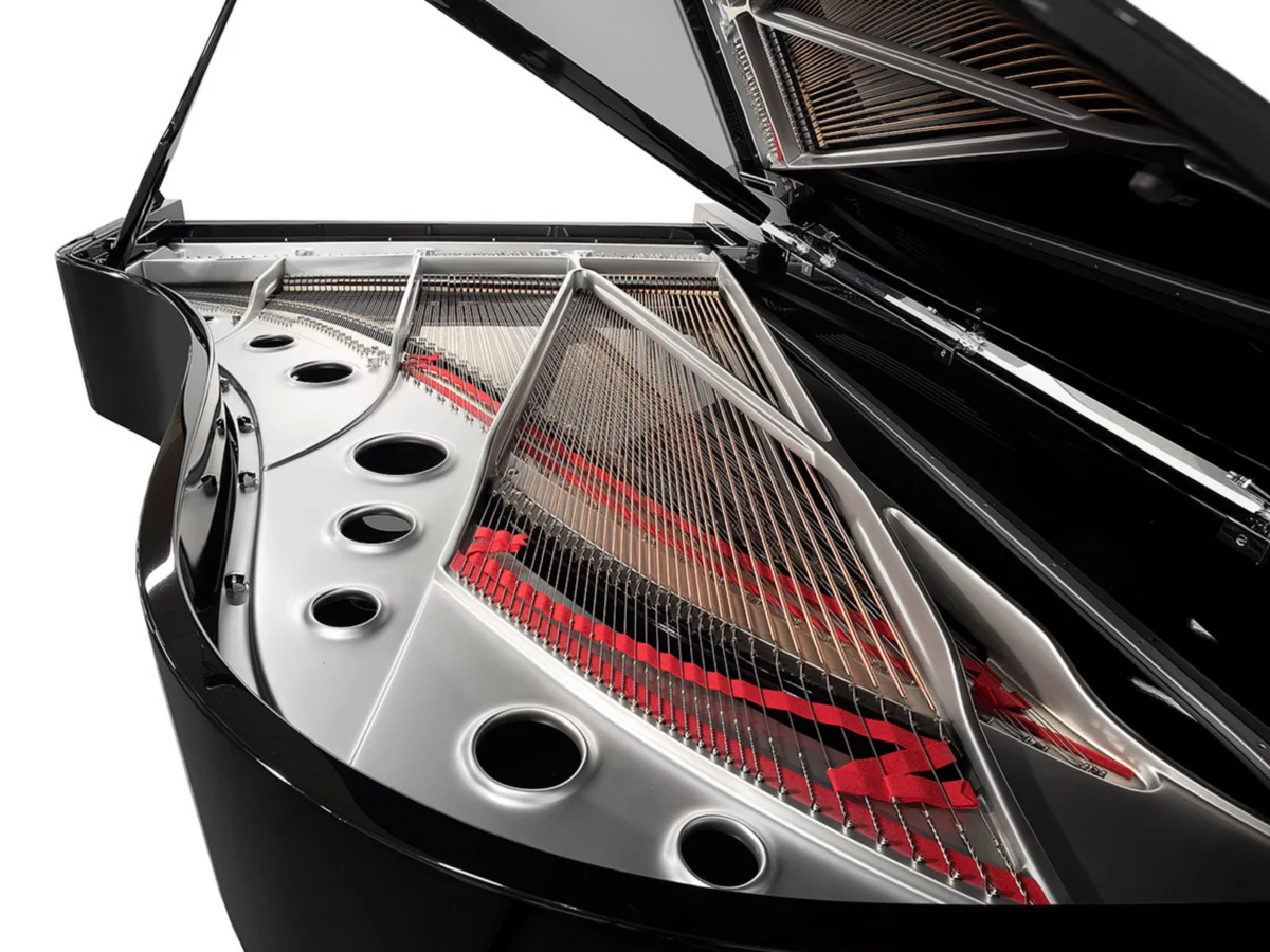 [SPECIAL] FAZIOLI SILVER