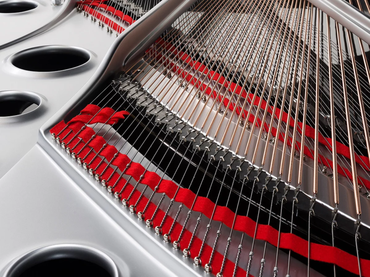 [SPECIAL] FAZIOLI SILVER