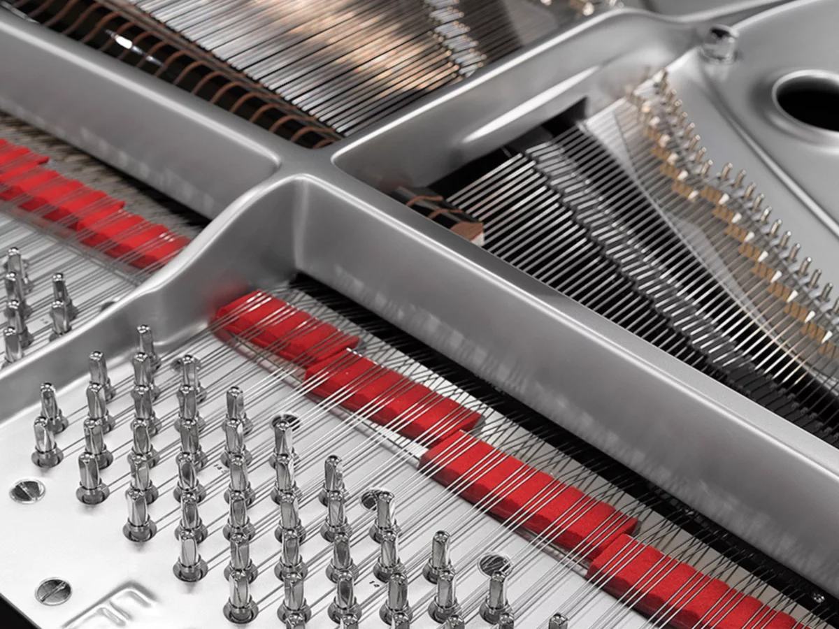 [SPECIAL] FAZIOLI SILVER