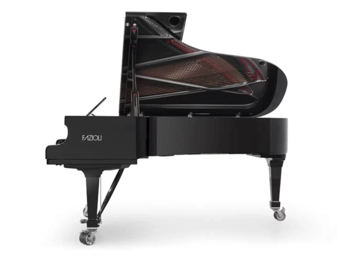 [SPECIAL] FAZIOLI SILVER