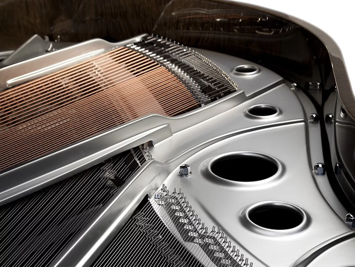 [SPECIAL] FAZIOLI TAMO