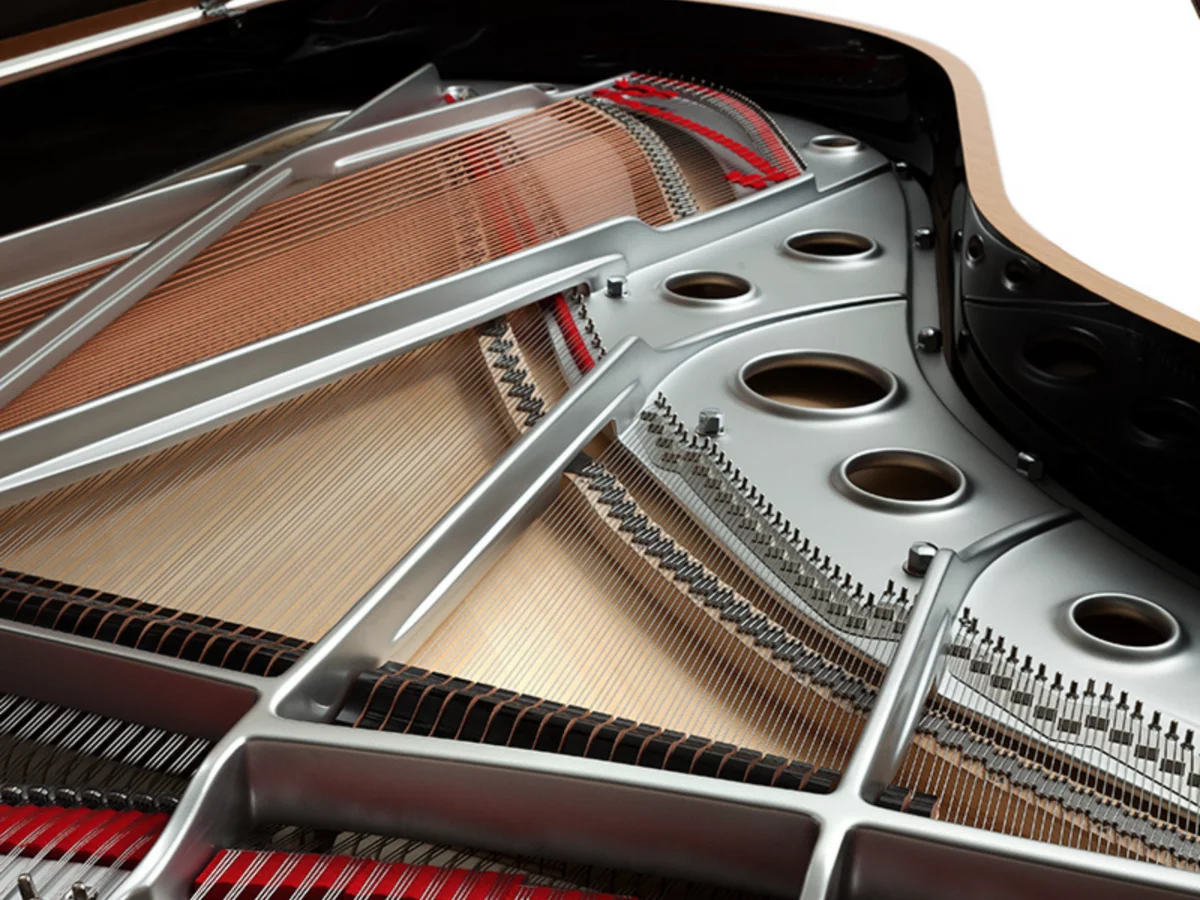 [SPECIAL] FAZIOLI TELUS