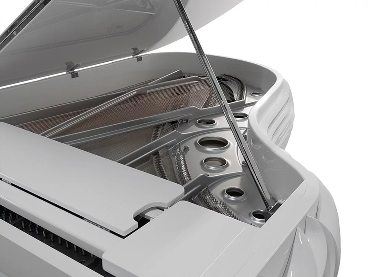 [SPECIAL] FAZIOLI THE BUTTERFLY