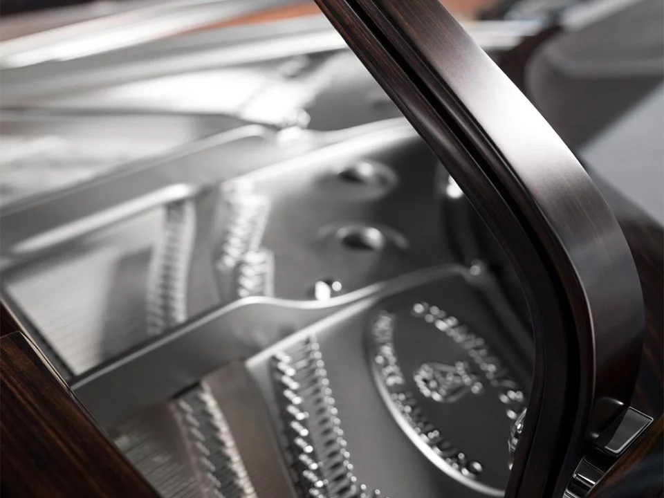 Steinway & Sons Black Dimond model D