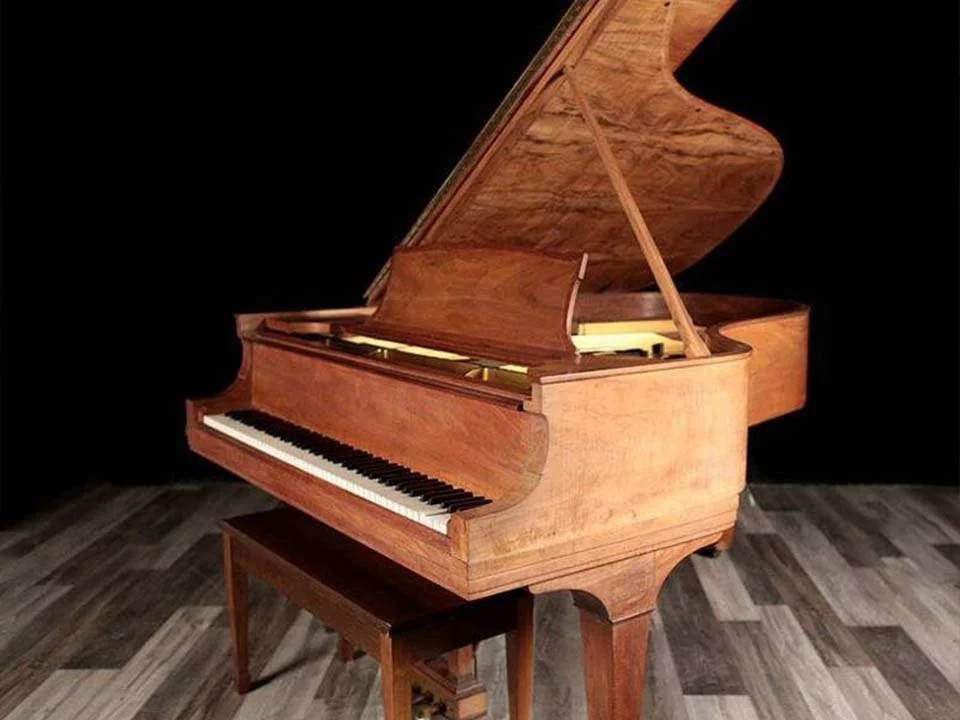 STEINWAY A3 WN