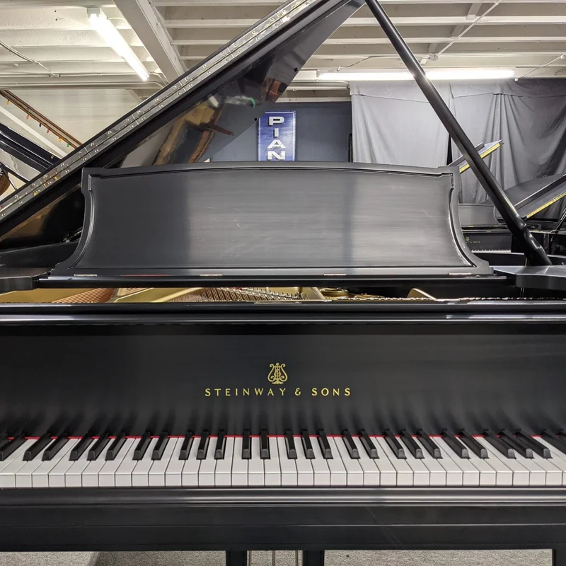 STEINWAY A3 WN
