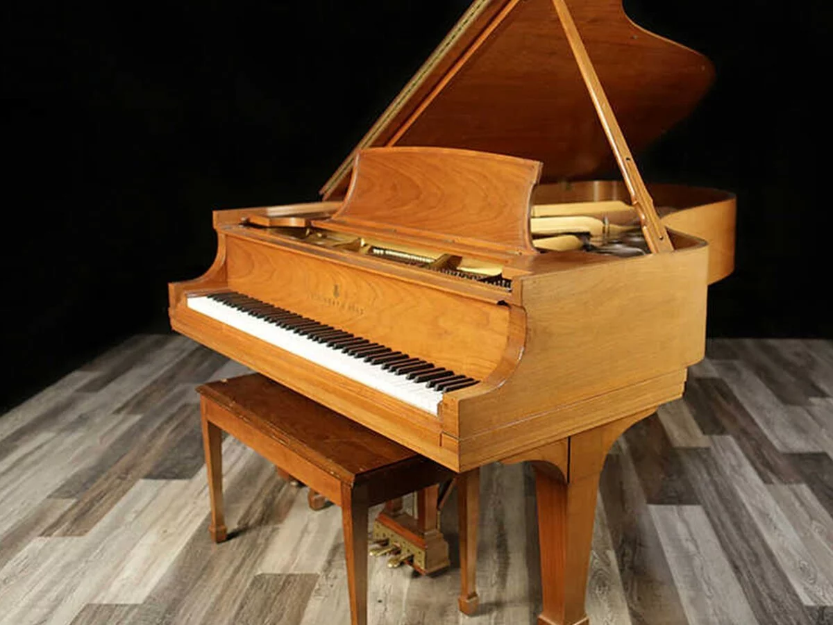 STEINWAY A3 WN