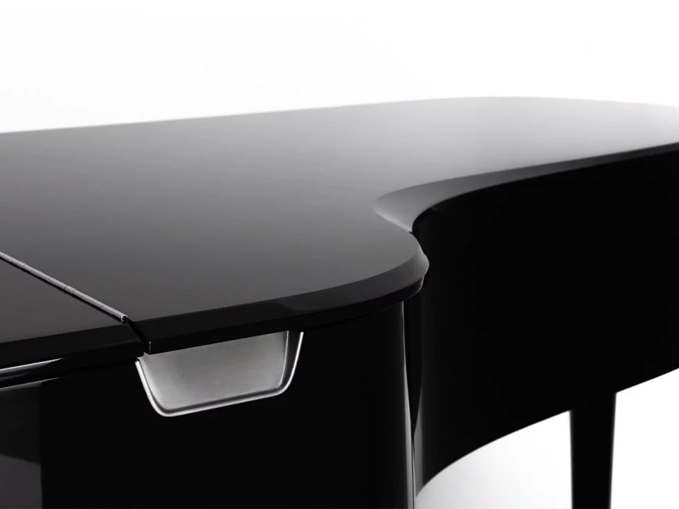 Steinway & Sons Gran Nichetto (The Black Polished)