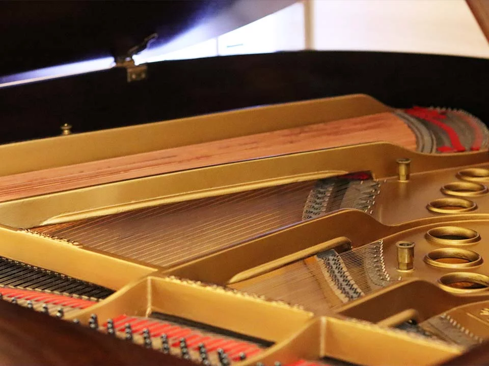 STEINWAY MODEL O (Wood)