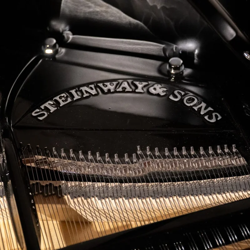 Steinway & Sons - The Jet Noir