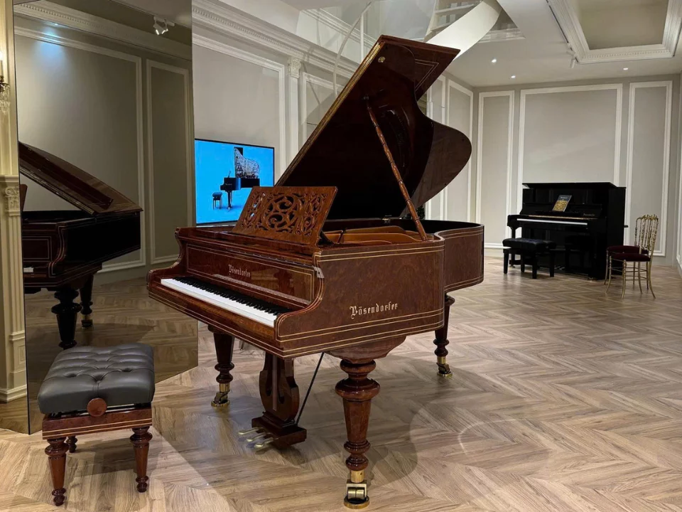 [Ultimate Designed] LISZT