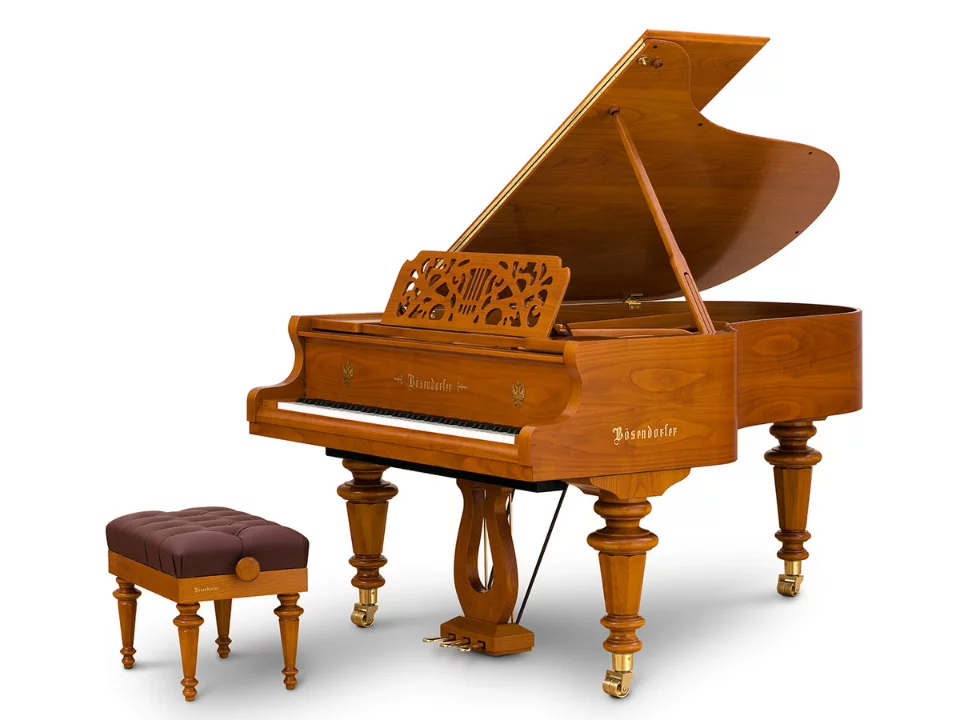 [Ultimate Designed] STRAUSS