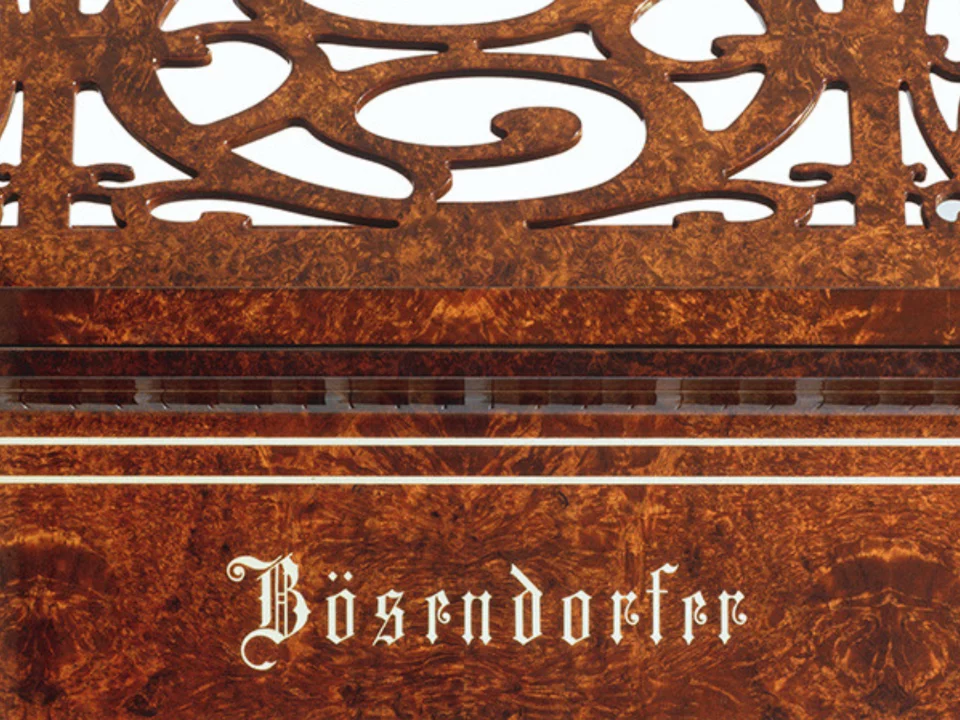 [Ultimate Designed] VIENNA