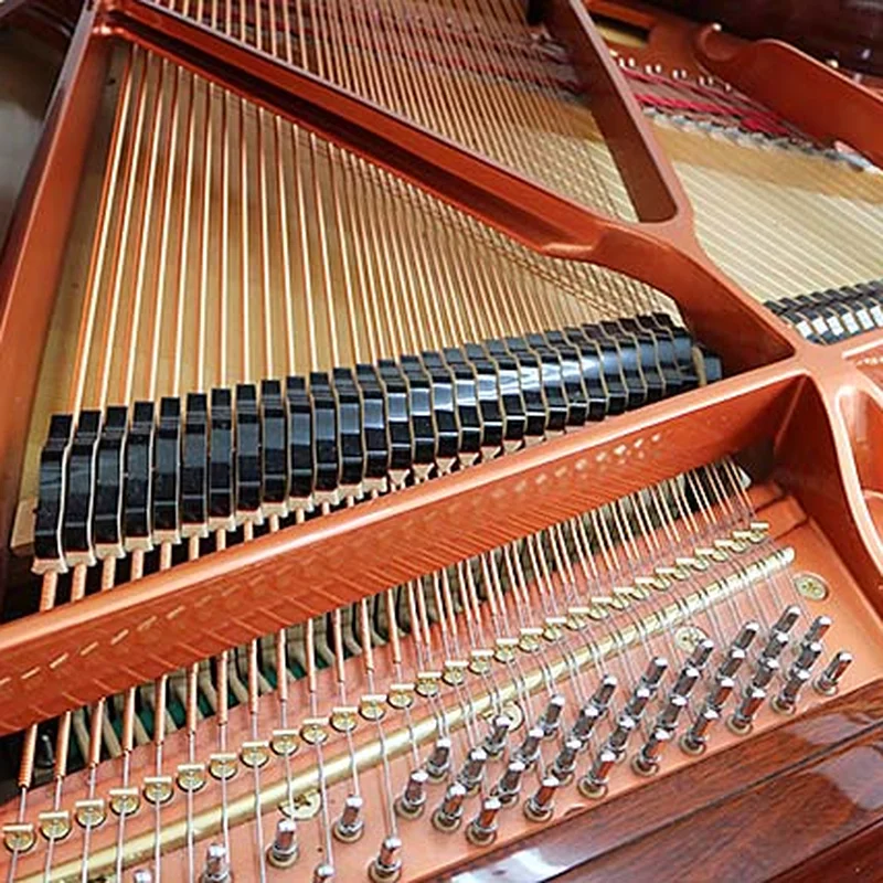 Wendl & Lung Mod.151 Professional III