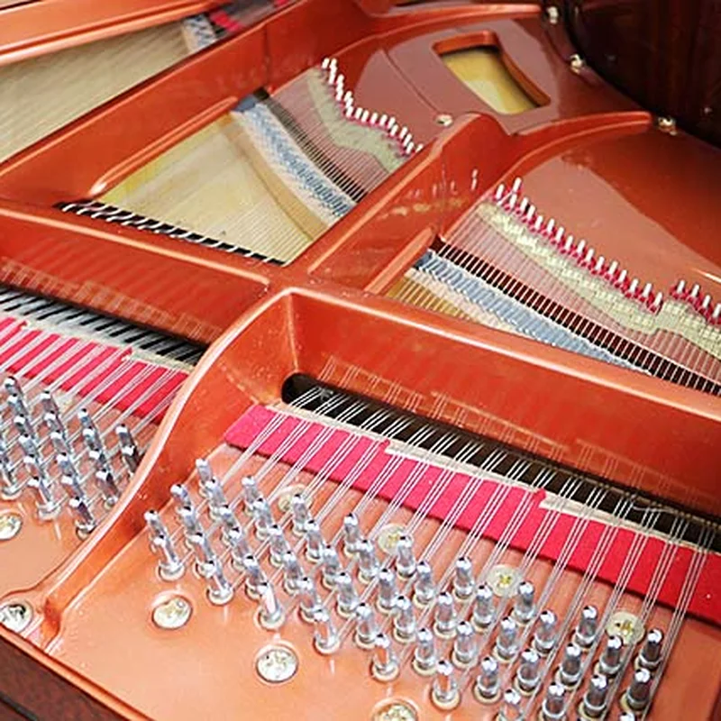 Wendl & Lung Mod.151 Professional III