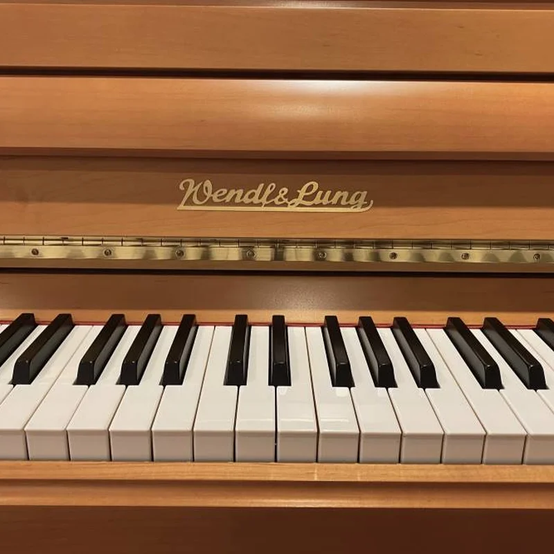 Wendl & Lung Mod.122 (Cherry Satin)