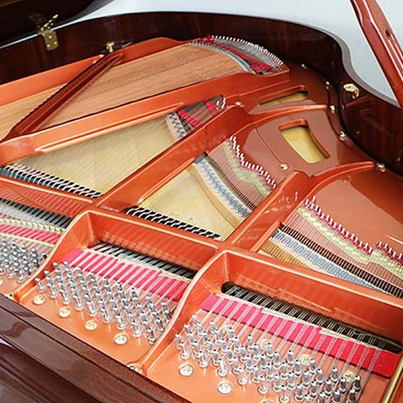 Wendl & Lung Mod.151 Mahogany - Silent