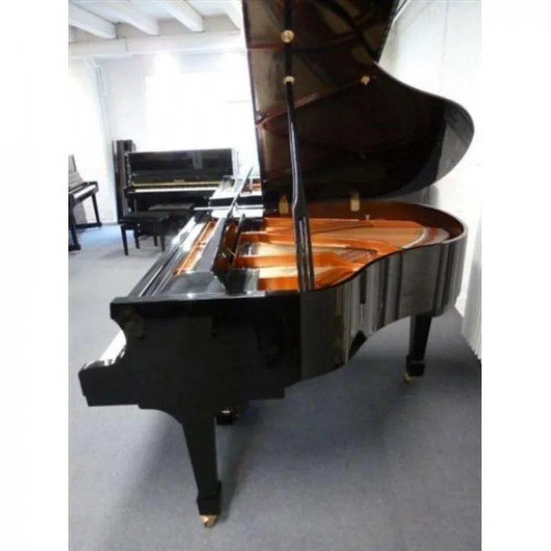 Wendl & Lung Mod.161 Professional I