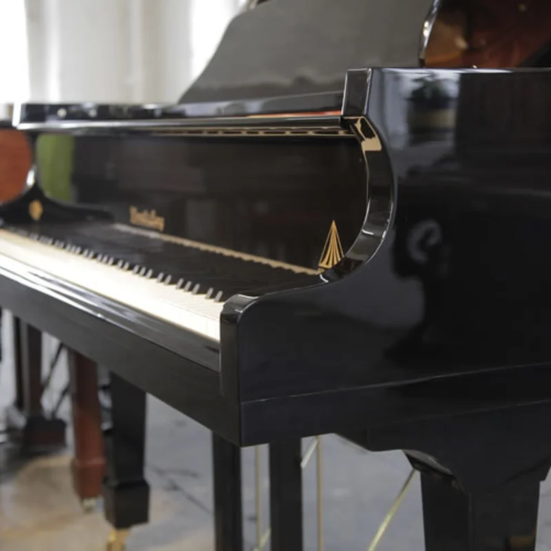 Wendl & Lung Mod.161 Professional I