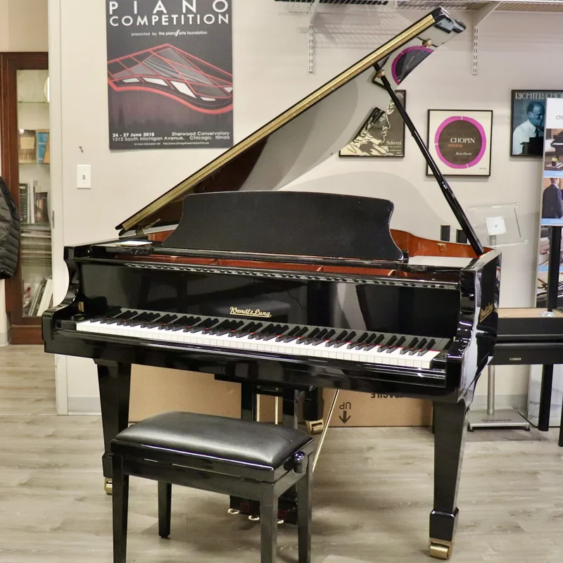 Wendl & Lung Mod.161 Professional I Mahogany