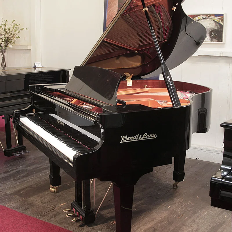 Wendl & Lung Mod.161 Professional I Mahogany