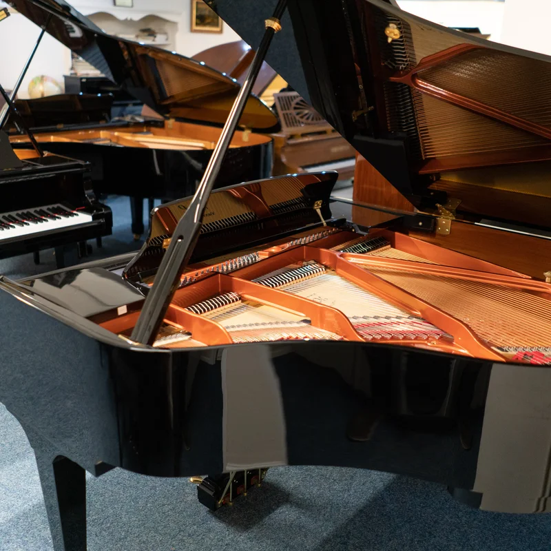 Wendl & Lung Mod.161 Professional I Mahogany