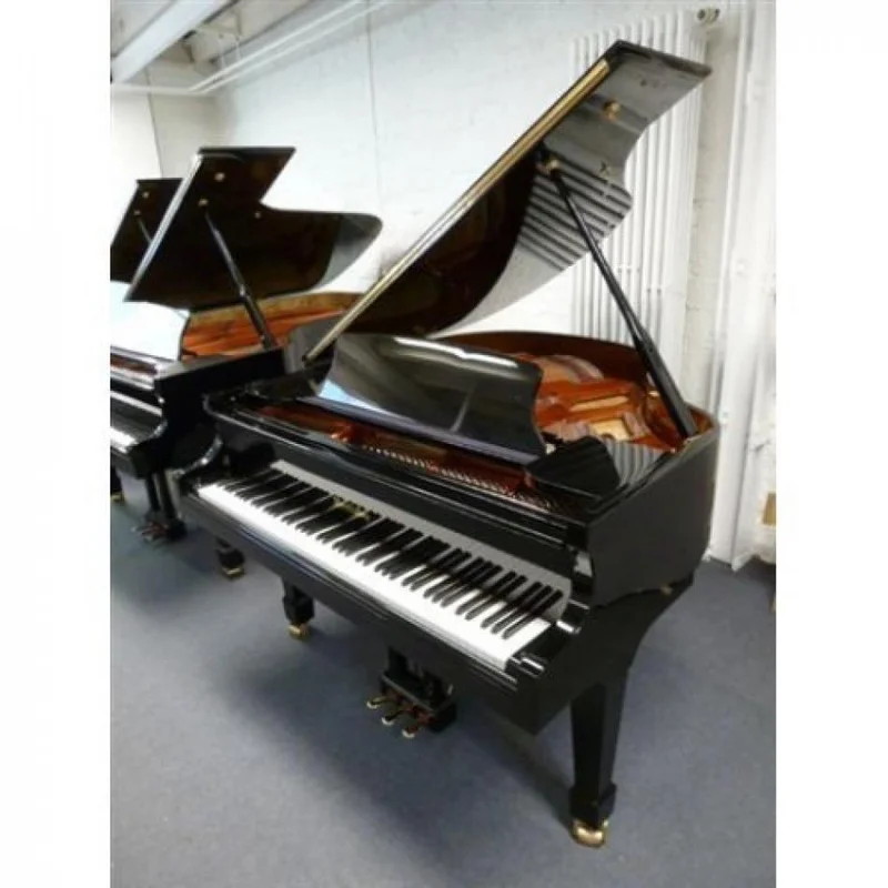 Wendl & Lung Mod.161 Professional I Mahogany